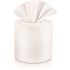 2-Ply White Center-Pull Paper Towels (6-Rolls)