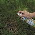 Spectracide 16 oz. Aerosol Carpenter Bee and Ground-Nesting Yellow jacket Killer Foam