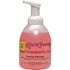 Spartan Lite'n Foamy Cranberry Ice 18oz. Bottle Hand Wash (6 per Pack)