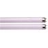 Sylvania 15-Watt 18 in. Preheat Linear T8 Fluorescent Lamp Light Bulb, Cool White (24 Per Case)