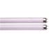 Sylvania 30-Watt 36 in. Preheat Linear T8 Fluorescent Lamp, Cool White (24 per Case)