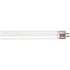 24-Watt 2 ft. Linear T5 Miniature Bi Pin Base Fluorescent Tube Light Bulb, Cool White