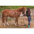 Element ContractorFarm 3/4 in. x 50 ft. Heavy Duty Contractor Water Hose