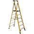 Werner 6 ft. Fiberglass Podium Ladder with 12 ft. Reach and 375 lbs. Load Capacity Type IAA Duty Rating