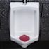 Renown Wave 3D 30-Day Anti-splash Urinal Screen, Spiced Apple, Pack of 10
