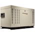 Generac Protector 60,000-Watt 120-Volt / 240-Volt Single-Phase Liquid-Cooled Whole House Generator