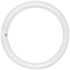 Satco 32-Watt 12 in. Circline T9 G10q Base Fluorescent Tube Light Bulb in Daylight (Case of 12)