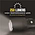 Rayovac Indestructible Industrial Grade 3 AAA 300 Lumens Flashlight