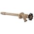 Zurn 1/2 in. x 12 in. Anti-Siphon Frost-Proof Sillcock in Chrome