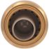 SharkBite 1/2 in. Push-to-Connect Brass Check Valve
