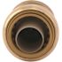 SharkBite 3/4 in. Push-to-Connect Brass Check Valve