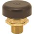 Watts Vacuum Relief Valve 1/2 in. Male NPT, Lead Free Brass, Protective Cap