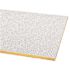 Armstrong CEILINGS Shasta-Unperforated 2 ft. x 4 ft. Ceiling Tile (128 sq. ft. / Case)