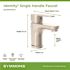 Symmons Single Hole Single-Handle 1.0 GPM Bathroom Faucet with Drain Assembly in Brushed Nickel