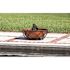 Fire Sense Barzelonia 26 in. Round Steel Fire Pit in Copper