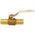 Apollo 1 in. Brass Insert Poly Ball Valve