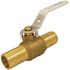 Apollo 1 in. Brass Insert Poly Ball Valve
