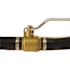 Apollo 1 in. Brass Insert Poly Ball Valve
