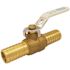 Apollo 3/4 in. Brass Insert Poly Ball Valve