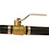 Apollo 3/4 in. Brass Insert Poly Ball Valve