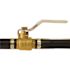 Apollo 1/2 in. Brass Insert Poly Ball Valve