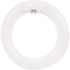 Feit Electric 120-Watt Equivalent T9 CFL Circline Light Bulb Warm White