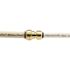Tectite 1/2 in. Brass Push-To-Connect x 3/8 in. Reducer Coupling