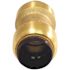 Tectite 3/4 in. Brass Push-to-Connect Coupling