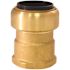 Tectite 1 in. Brass Push-to-Connect x Female Pipe Thread Adapter