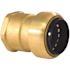 Tectite 1 in. Brass Push-to-Connect x Female Pipe Thread Adapter