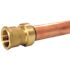 Tectite 1 in. Brass Push-to-Connect x Female Pipe Thread Adapter