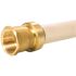 Tectite 1 in. Brass Push-to-Connect x Female Pipe Thread Adapter
