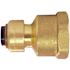 Tectite 1/4 in. (3/8 in. ) Brass Push-To-Connect x 1/2 in. Female Pipe Thread Reducing Adapter