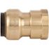 Tectite 3/4 in. Brass Push-to-Connect x Female Pipe Thread Adapter
