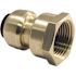Tectite 1/2 in. Brass Push-to-Connect x 3/4 in. Female Pipe Thread Reducing Adapter