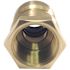 Tectite 1/2 in. Brass Push-to-Connect x 3/4 in. Female Pipe Thread Reducing Adapter