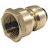 Tectite 1/2 in. Brass Push-to-Connect x 3/4 in. Female Pipe Thread Reducing Adapter
