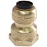 Tectite 1/2 in. Brass Push-to-Connect x 3/4 in. Female Pipe Thread Reducing Adapter