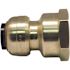 Tectite 1/2 in. Brass Push-to-Connect x 3/4 in. Female Pipe Thread Reducing Adapter