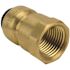 Tectite 1/2 in. Brass Push-to-Connect x Female Pipe Thread Adapter
