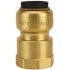 Tectite 1/2 in. Brass Push-to-Connect x Female Pipe Thread Adapter
