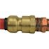 Tectite 1/2 in. Brass Push-to-Connect x Female Pipe Thread Adapter