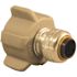Tectite 1/4 in. (3/8 in. ) Chrome Plated Brass Push-To-Connect x 1/2 in. Faucet Connector