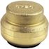 Tectite 1 in. Brass Push-to-Connect Cap