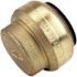 Tectite 1 in. Brass Push-to-Connect Cap