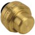 Tectite 3/8 in. Brass Push-To-Connect Cap