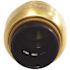 Tectite 1/2 in. Brass Push-to-Connect Cap