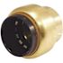 Tectite 3/4 in. Brass Push-to-Connect Cap