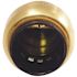 Tectite 3/4 in. Brass Push-to-Connect Cap