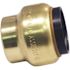 Tectite 3/4 in. Brass Push-to-Connect Cap